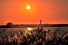 秋近し(石刈川河口）