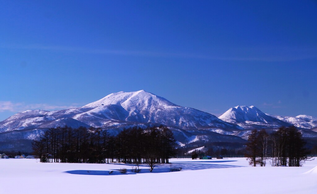 冬のニセコ連邦