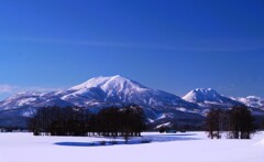 冬のニセコ連邦