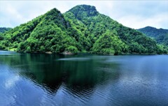 新緑のサッポロ湖