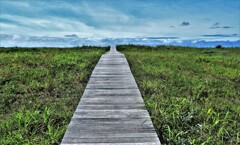 天空へ続く木道