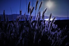 今はもう秋(レタッチ写真）