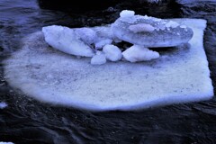 春がやって来る～