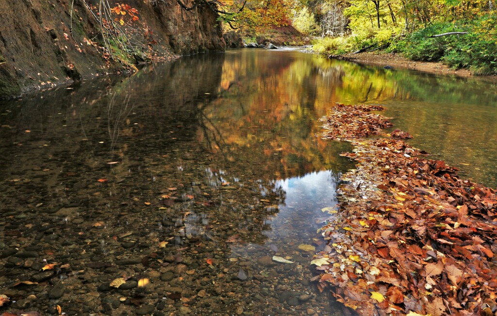 それぞれの秋♪