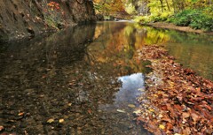 それぞれの秋♪