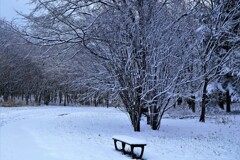 冬がやって来た