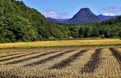 石狩浜益黄金山