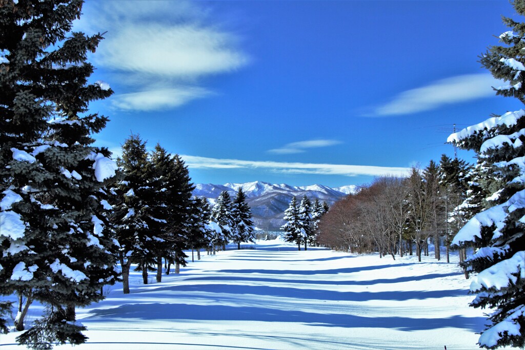 白雪に潜みし影