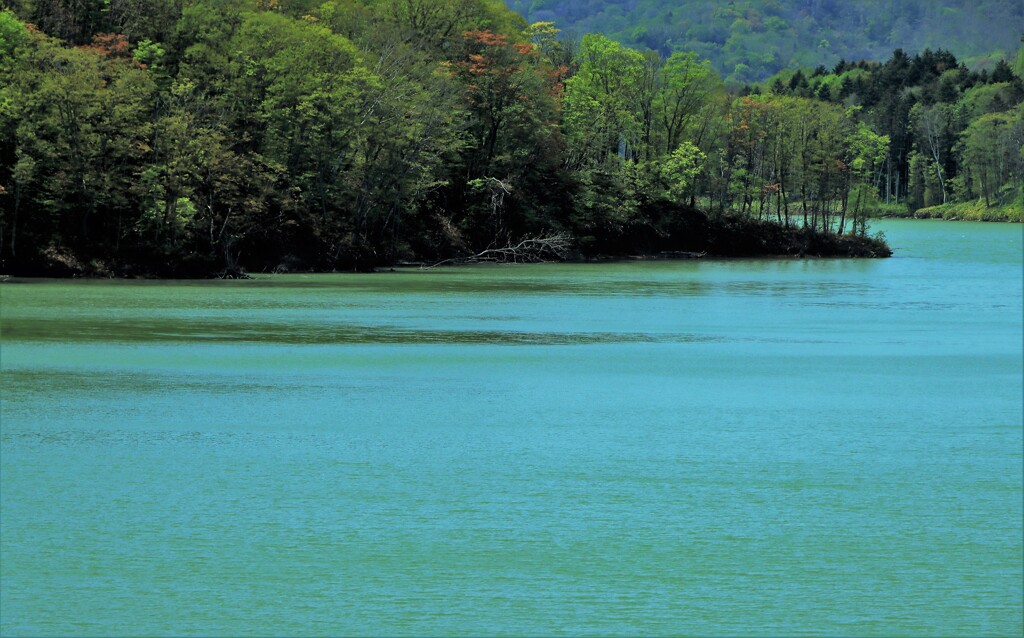 ふくろう湖(当別ダム湖）