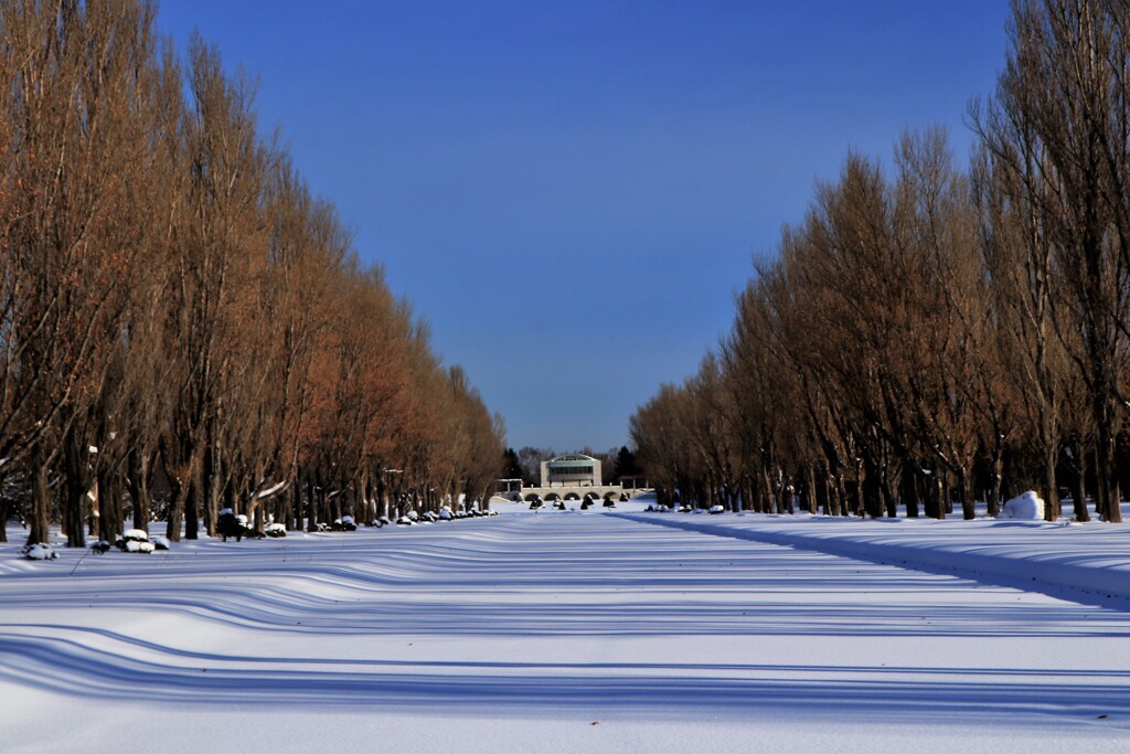 前田森林公園