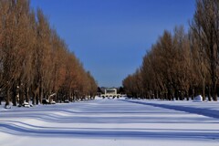 前田森林公園