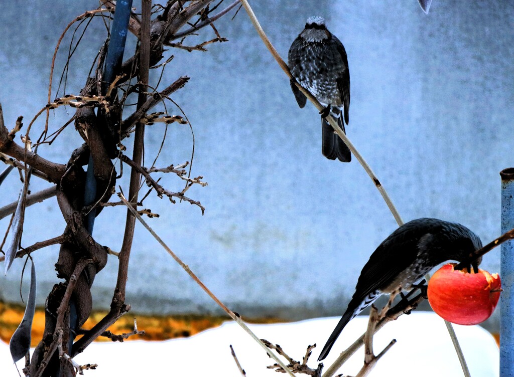交代してほしいな～