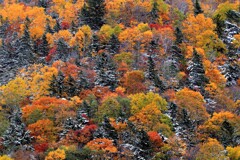 あ～秋ですね♪