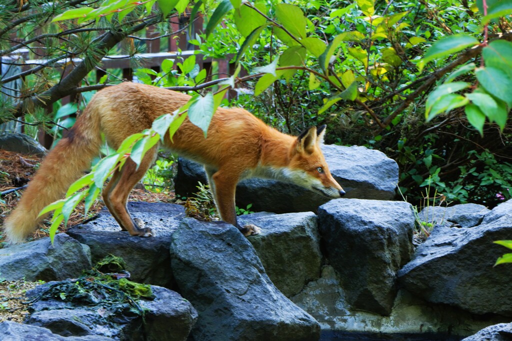 狙いをさだめて～