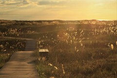 季節の移り変わり