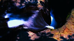 星置の滝上流