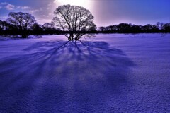 石狩河川敷ハンノ木Ⅱ