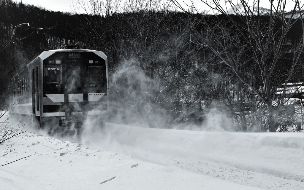 北の旅人（モノクロ）