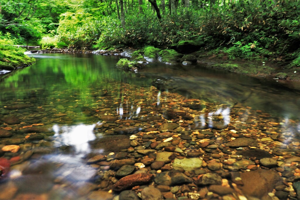 あ～あ川の流れのように♪