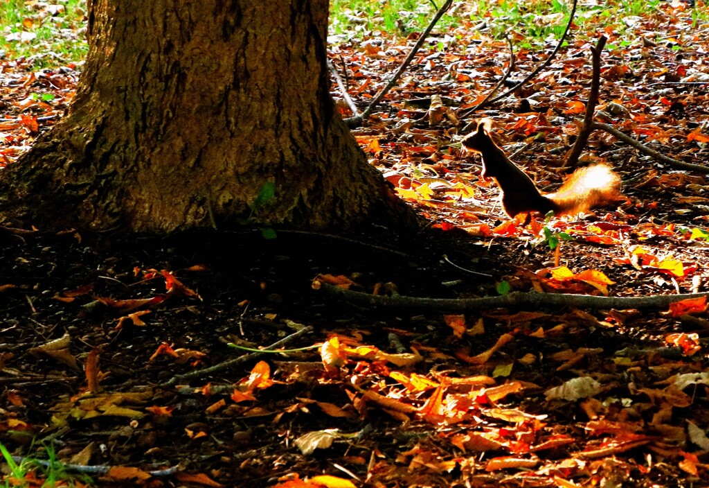 いそがし～（蔵出）