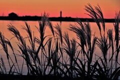 今和もう秋Ⅱ 今和もう秋Ⅱ