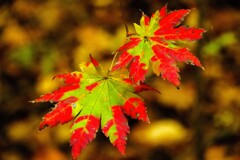 もう少し もう少し