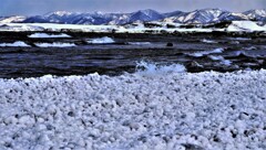 春がやって来るⅡ