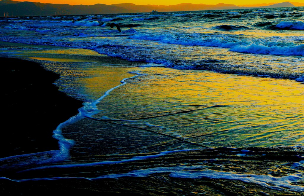 夕日、引き潮（蔵出）