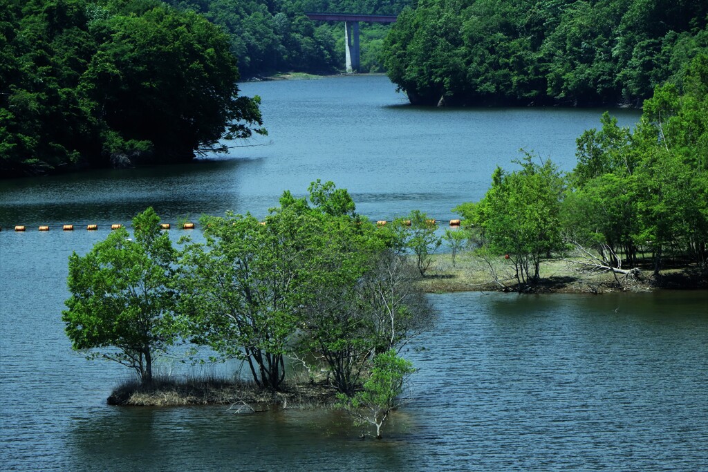 鮎川ダム湖