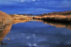 晩秋の石狩知津狩川