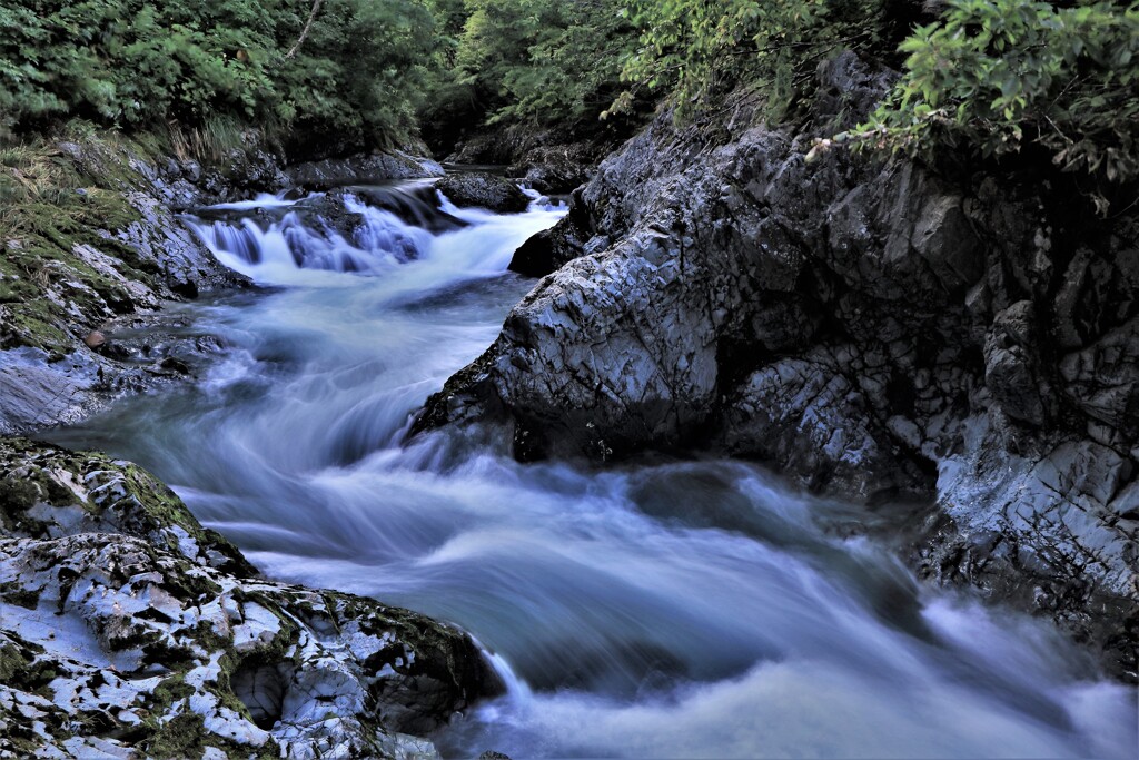 定山渓白井川渓流