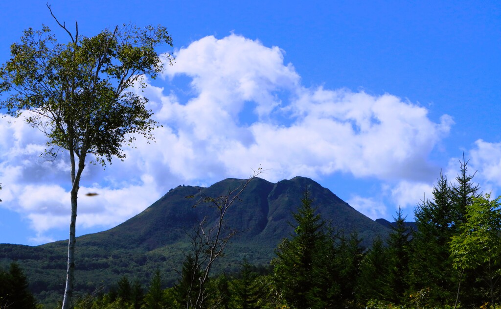 ニセコイワオヌプリ