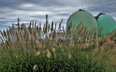 秋がやって来るⅡ 秋がやって来るⅡ