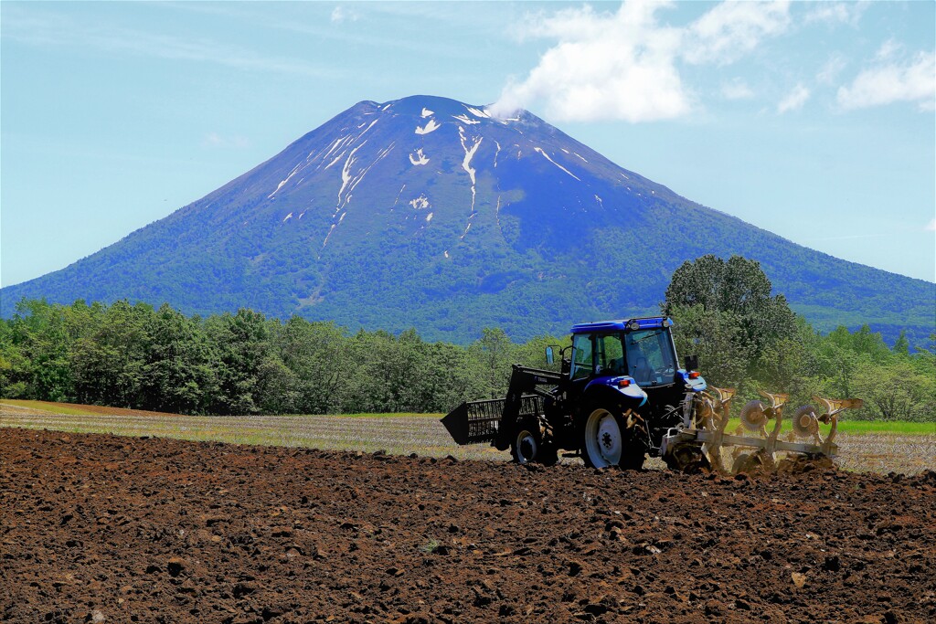 少しおそい畑おこし