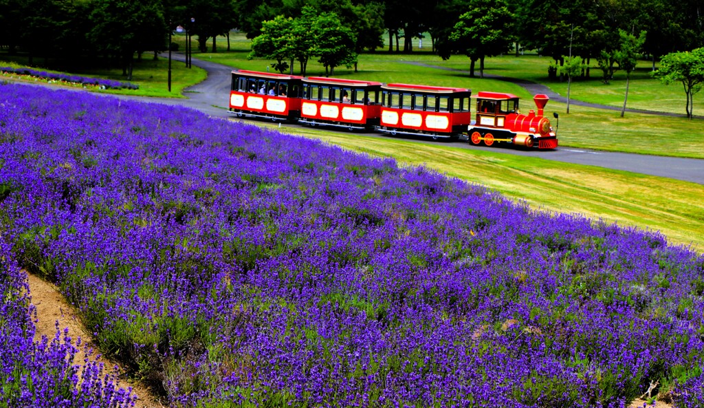 札幌さとらんど公園