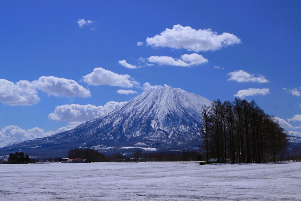 羊蹄山