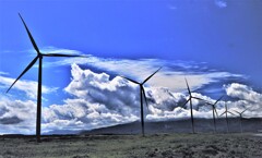 夏の日の想い出