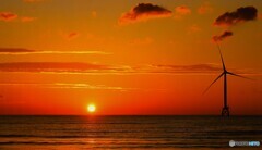 夕日、風を読む