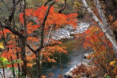 定山渓豊平川紅葉