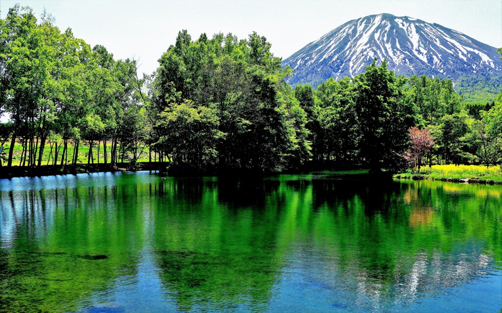 新緑の姿見の池