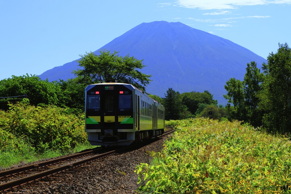 北の旅人