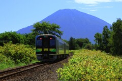 北の旅人