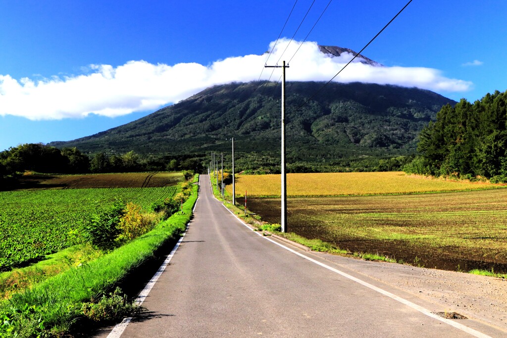 羊蹄山Ⅱ