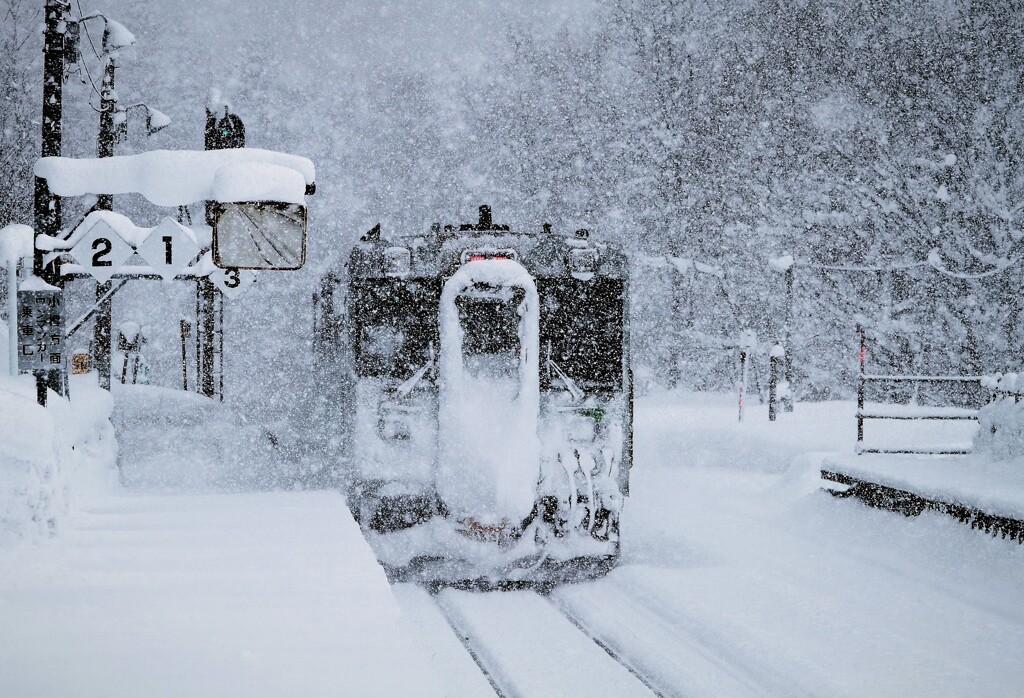 北の旅人（蔵出）
