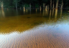 赤井川村落合ダム湖