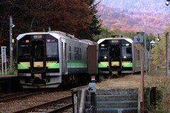 晩秋、北の旅人