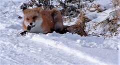 生き抜く(再投稿）