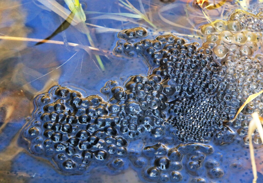 春がやって来た