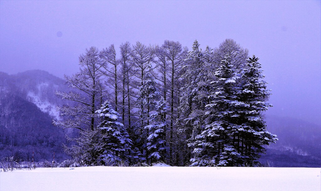 冬景色（蔵出、再投稿）