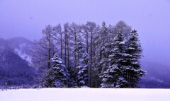冬景色（蔵出、再投稿）